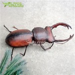 Animatrooniline hirvemardikas